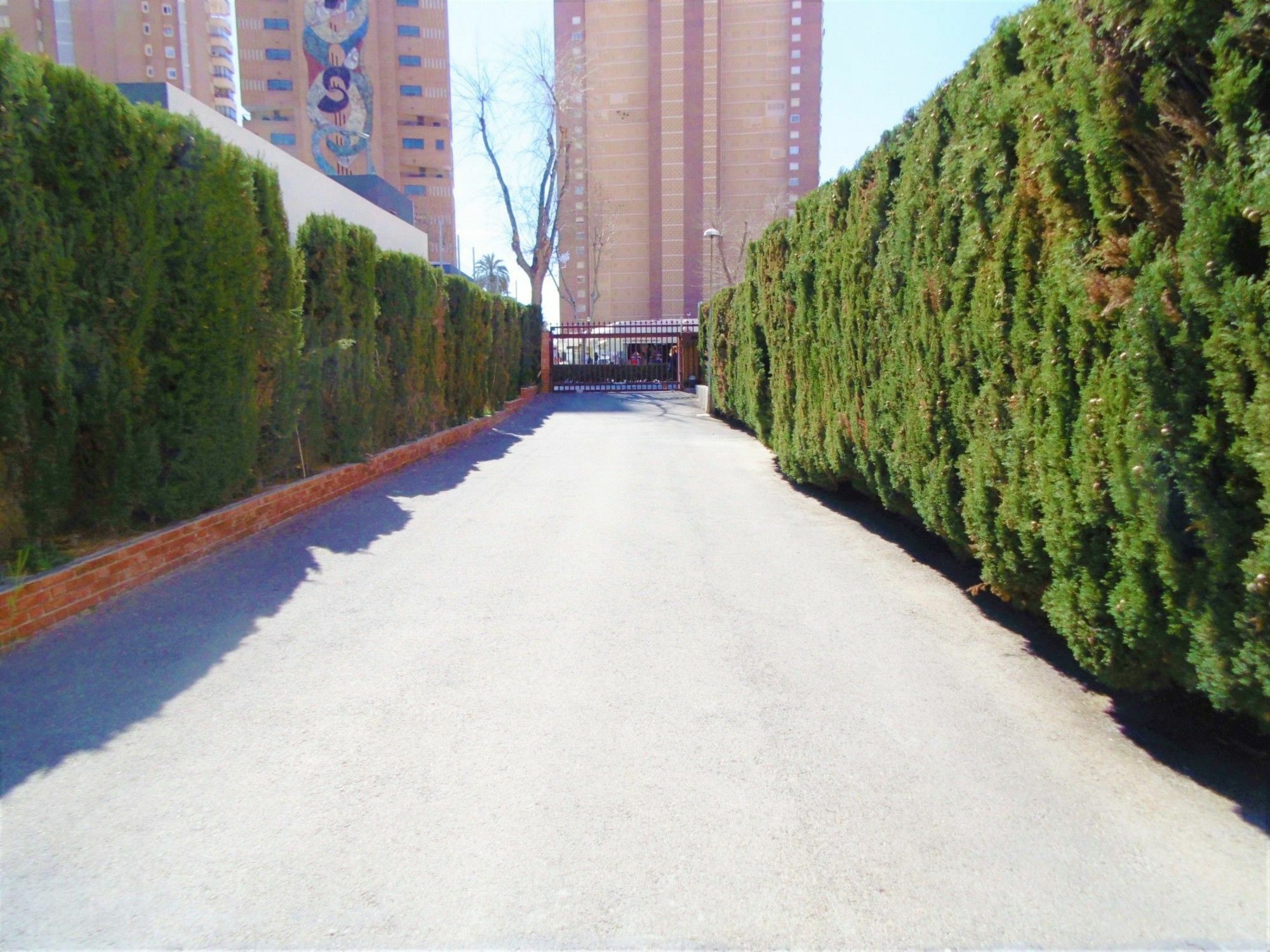 Edimar 2-3 Apartment Levante Beach Benidorm Extérieur photo